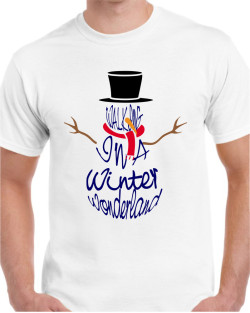 Winter Wonderland