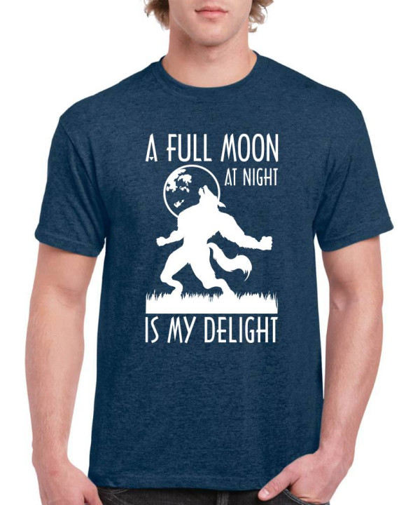 A Full Moon A Full Moon