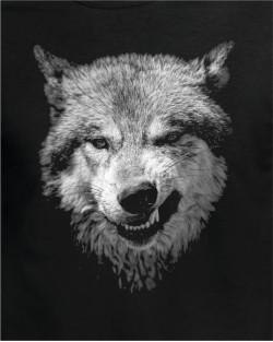 Wolf 3D