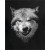 Wolf 3D