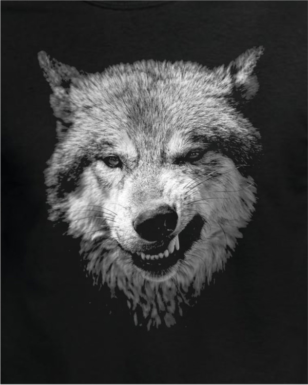 Wolf 3D